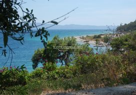 Коммерческая недвижимость 2570м2 в Мармарисе, Мугла, Турция №9813