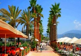 Коммерческая недвижимость 500м2 в Мармарисе, Мугла, Турция №9763