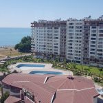 Liparis Sunlife Тэдже Мерсин - Фото №9