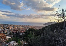 Земельный участок 1454 м2 в Бюйюк Хасбахче, Аланья