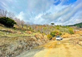 Земельный участок 2189 м2 в Бадемааджи, Аланья