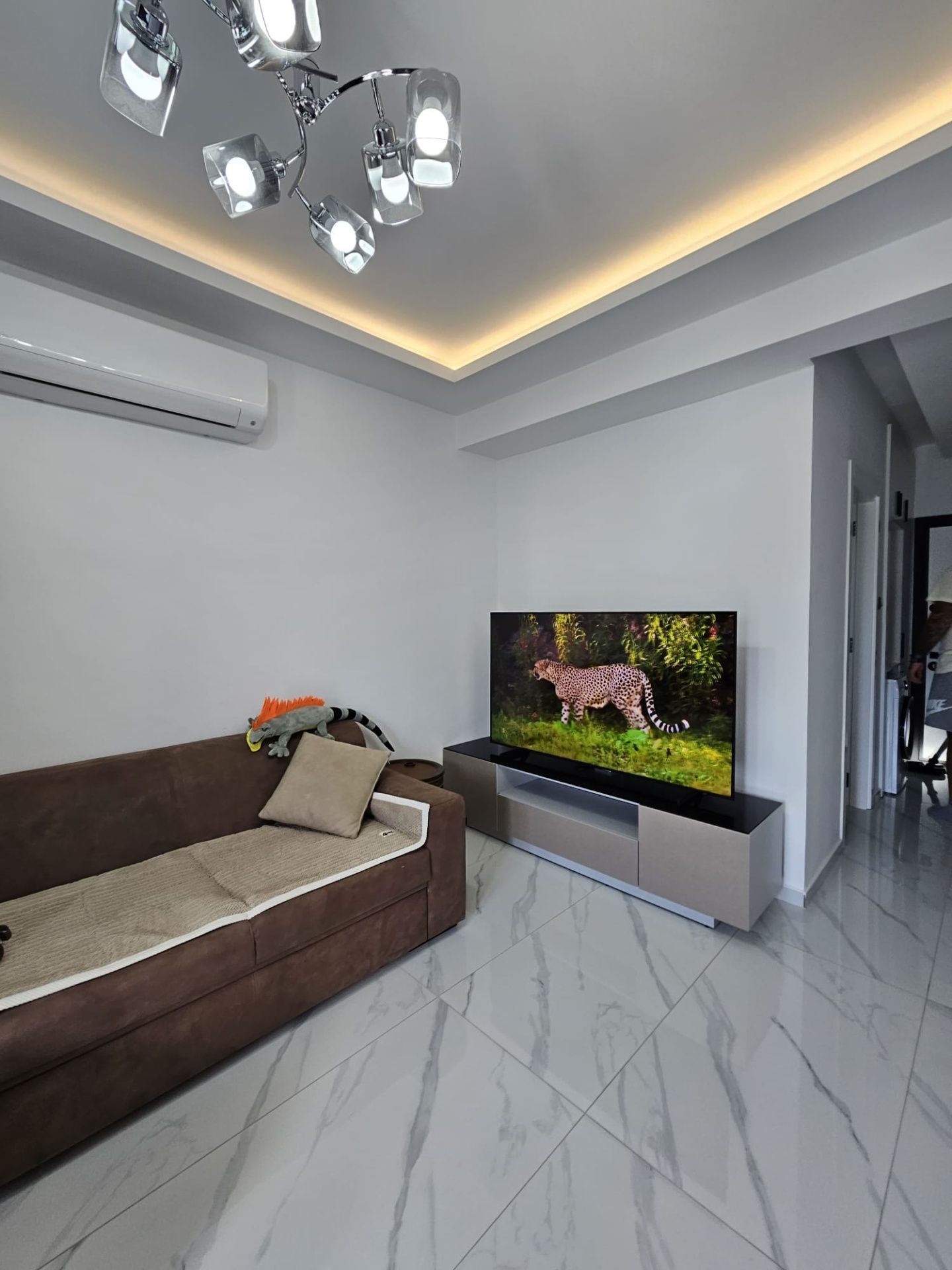 2 室公寓50 平方米，带屋顶露台2 平方米» Haspo Realty