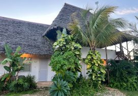 Продажа виллы 5 bedroom 5+1 и готового бизнеса на острове Занзибар, пляж Нунгви